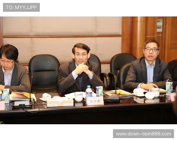 分析bbin直营旗下公司在品牌建设与市场推广中的成功经验